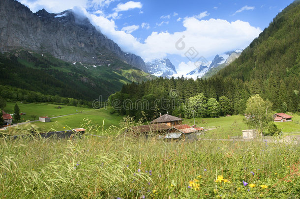 瑞士阿尔卑斯山夏季浮雕