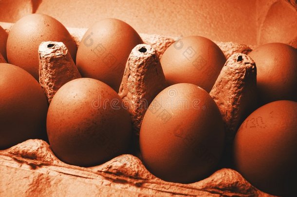 深棕色鸡蛋2