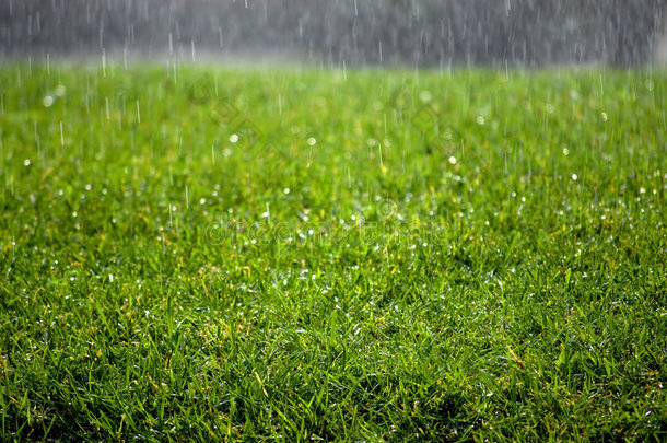雨滴落在草地上