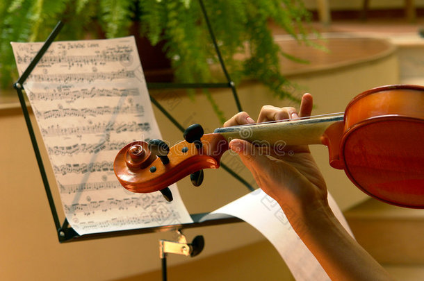 小提琴演奏者