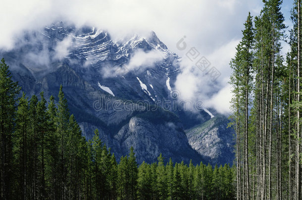 加拿大阿尔伯塔省班夫雾蒙蒙的喀斯喀特山脉