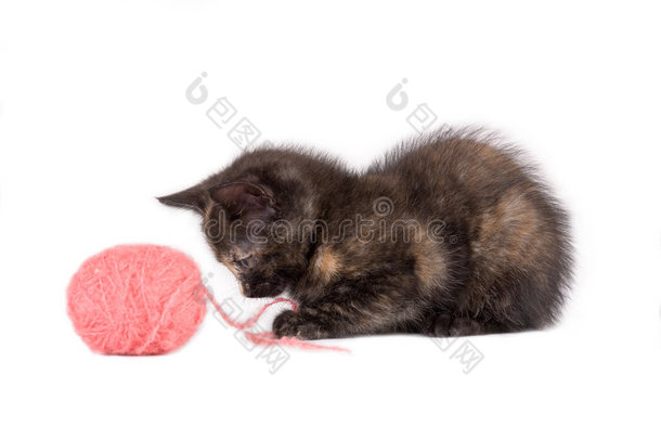 斑点小猫，毛线球