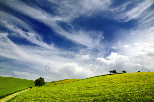 夏季景观