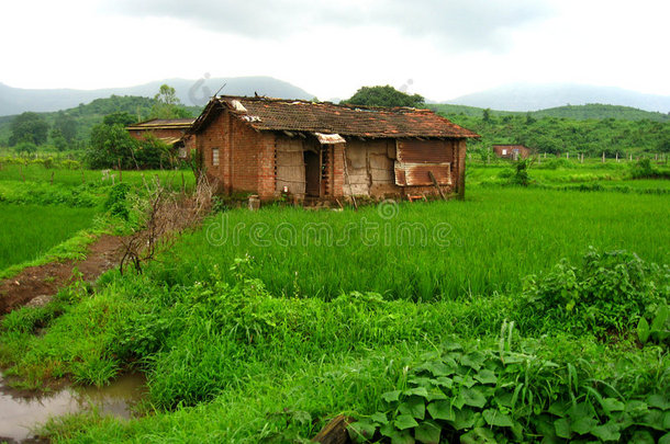 湿地农场上的乡村小屋