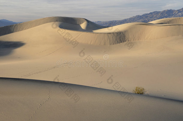 沙丘上的弯曲曲线