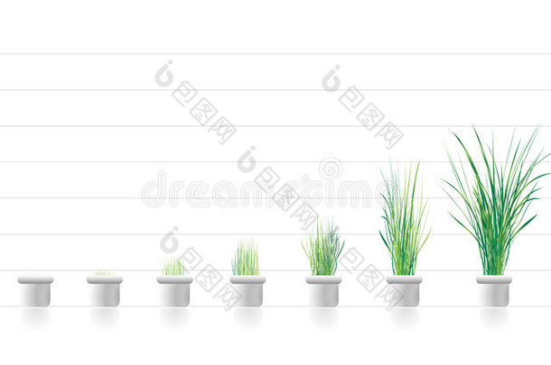 植物分期生长