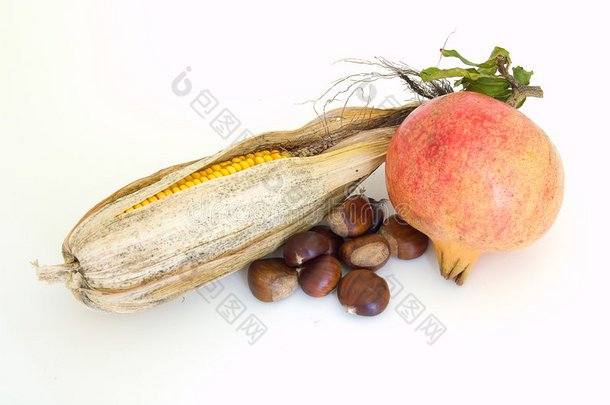 秋季水果、坚果和蔬菜