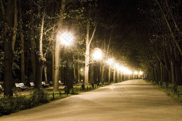 晚上在公园散步