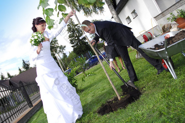 新婚夫妇种树