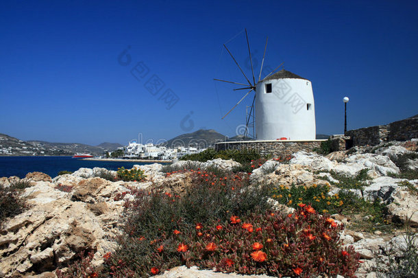 希腊，风车和鲜花