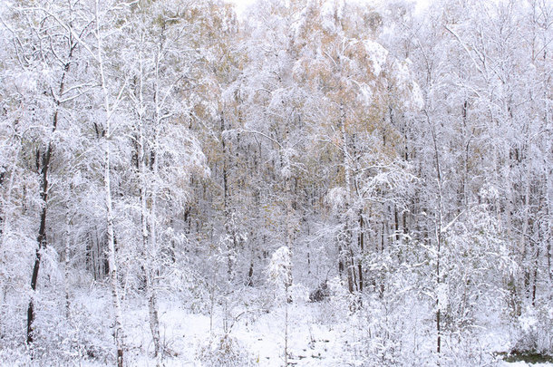 雪中送炭。冬天。