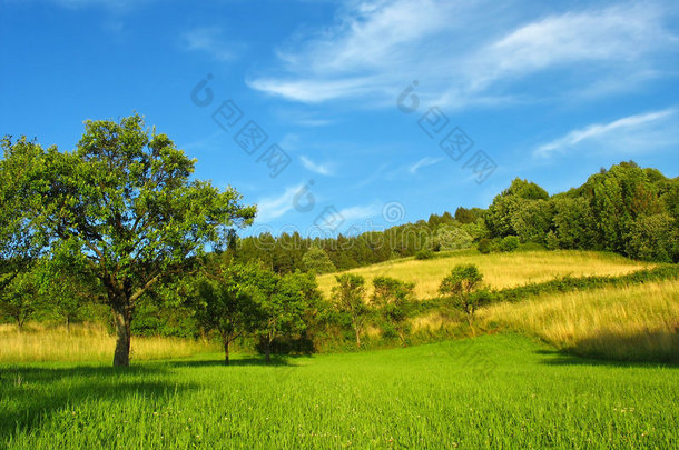 夏日好天气