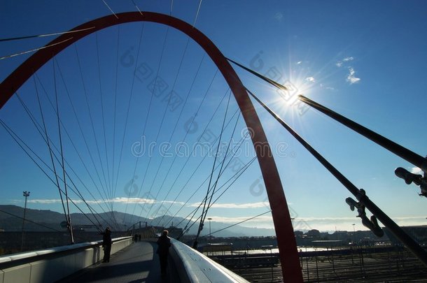 意大利都灵奥林匹克大桥