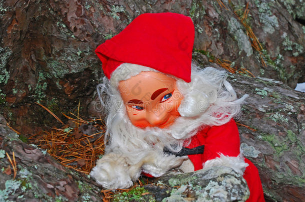 快乐圣诞老人在树林里