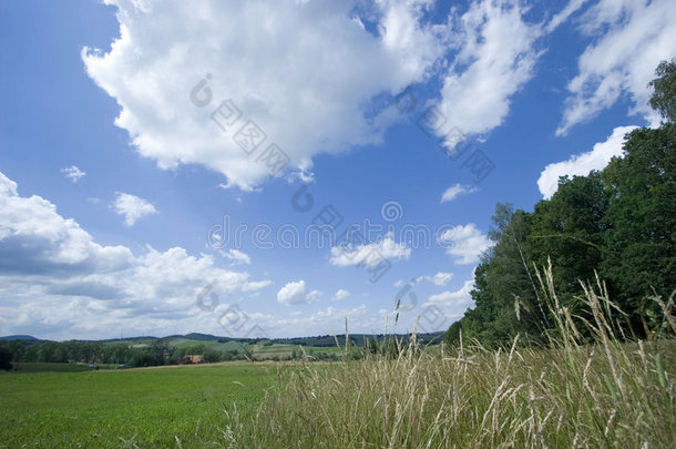 蔚蓝的天空和夏日草地上可爱的云彩