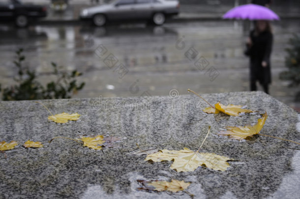 秋雨