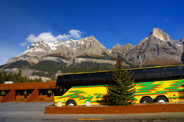 白色黄色旅游巴士