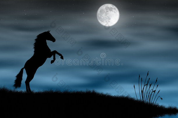 月光下的马