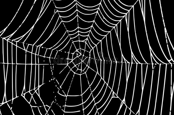 矢量蜘蛛网背景
