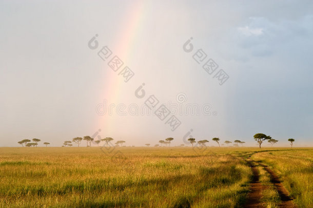 大草原上的彩虹