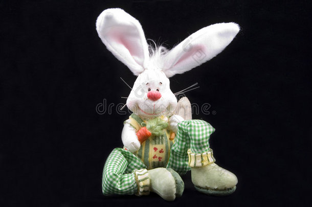 可爱的复活节兔子坐