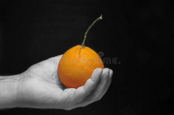 手拿熟橘子