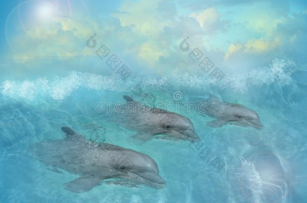 海豚艺术插图