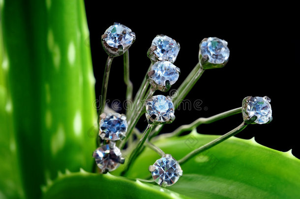 绿色植物上的钻石