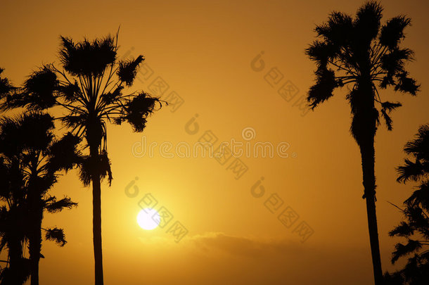 洛杉矶威尼斯海滩日落