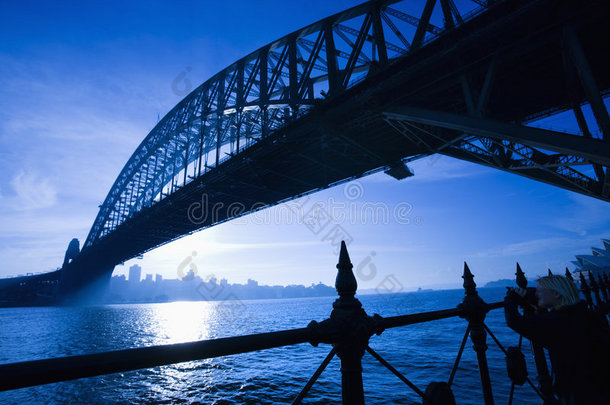 <strong>悉尼海港大桥</strong>。