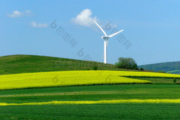 黄绿色田野上的风力发电机