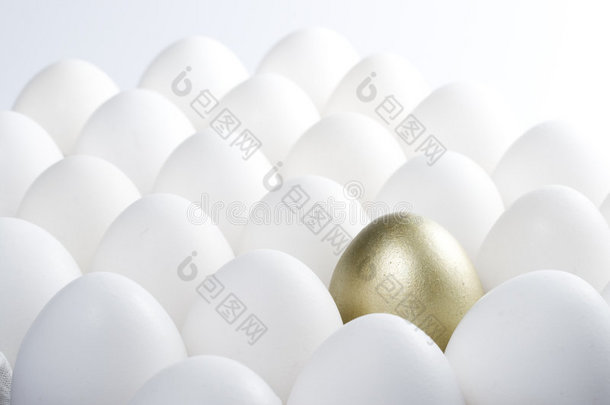 鸡蛋背景