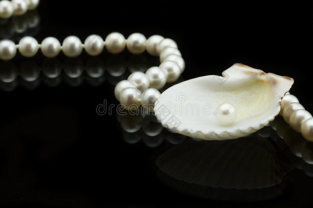 贝壳和珍珠