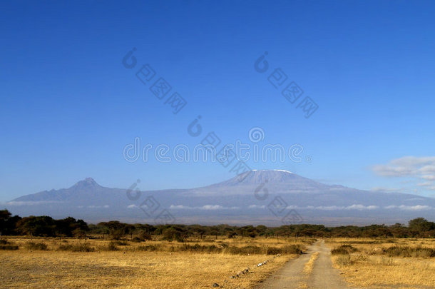 <strong>乞力马扎罗山</strong>