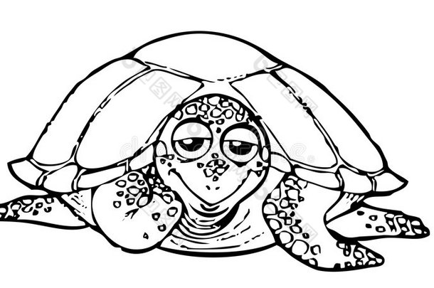 画册-乌龟