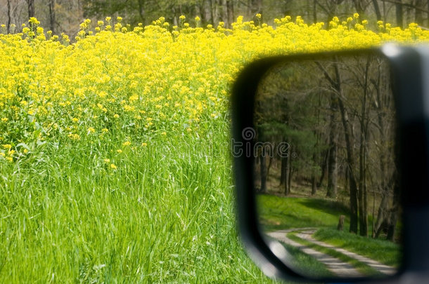 野花土路/镜