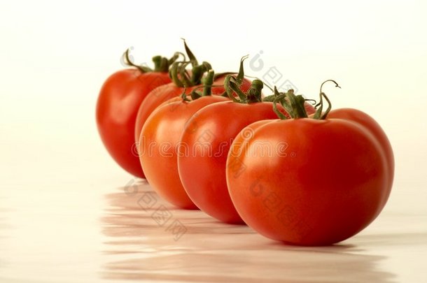番茄排