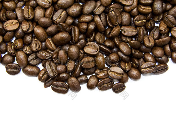 白咖啡豆