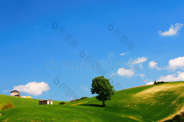 明媚的夏日风景