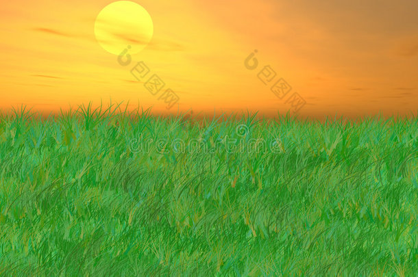 起伏草原上的日出