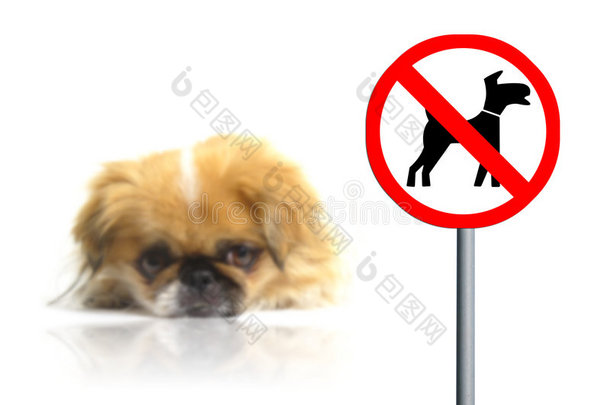 禁止携带宠物标志