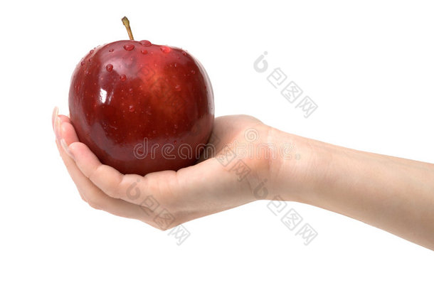女人手里拿着美味的红苹果，白色，与世隔绝
