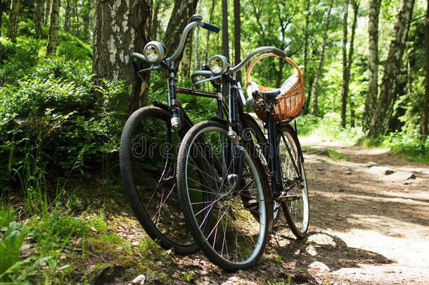 森林里有两辆自行车