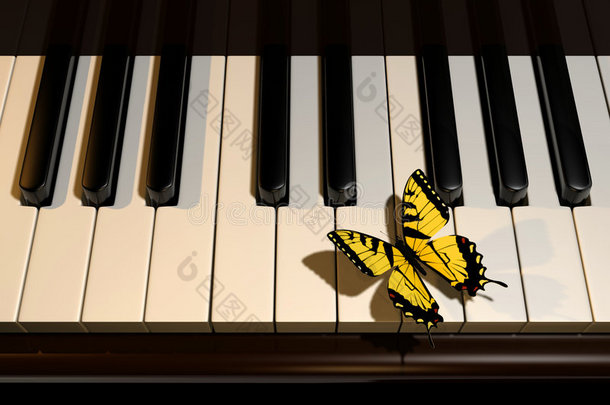 钢琴和蝴蝶