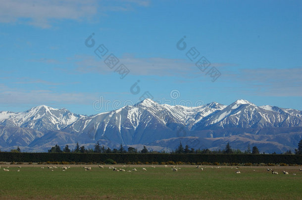 南阿尔卑斯山