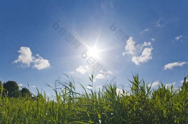 夏日晴朗温暖的天空