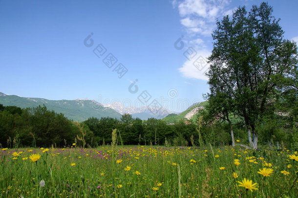 宁静的田园风光，有草地和山峦