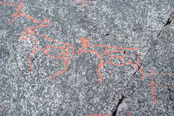 挪威阿尔塔的岩画（怀孕的驯鹿）