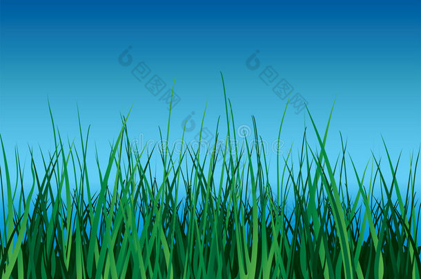 蓝天上的青草。
