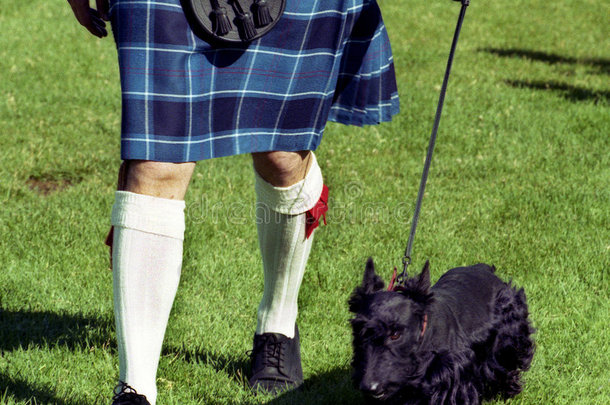 苏格兰狗和苏格兰短裙